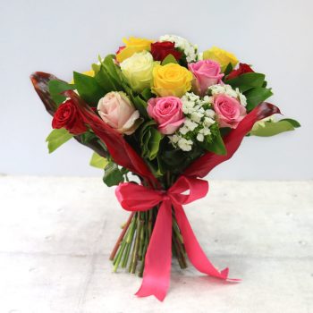 Rose Blush