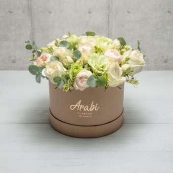 Box Light Pastel