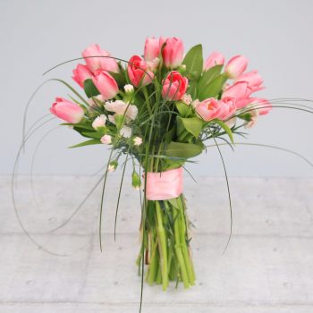 Pink Tulips